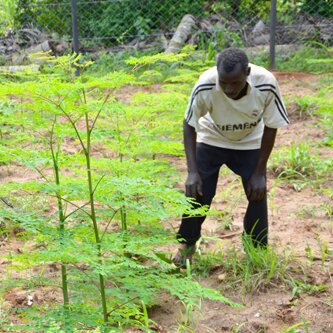 Tierra-foundation_square Tierra-foundation_square