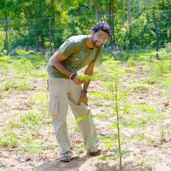 Tierra_deep_solo_farm Tierra_deep_solo_farm